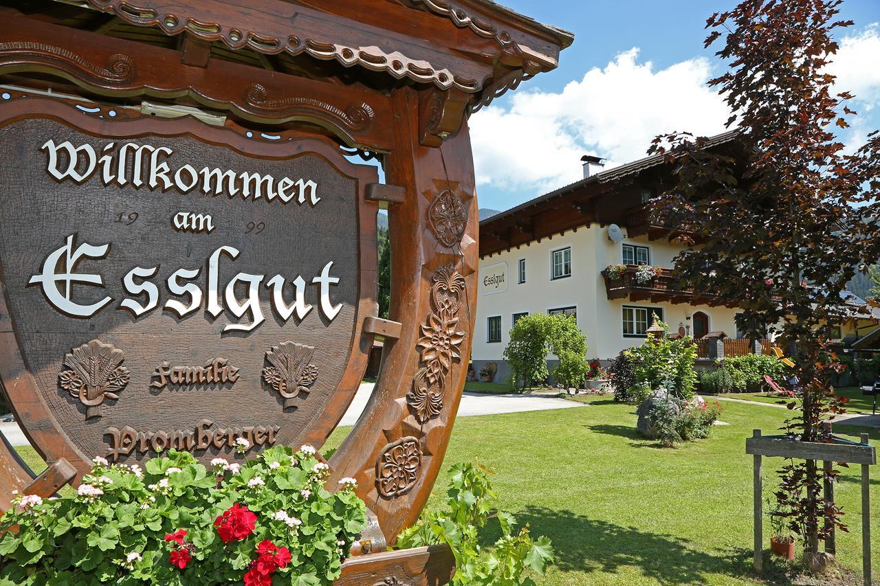 Appartments Am Esslgut Apartment