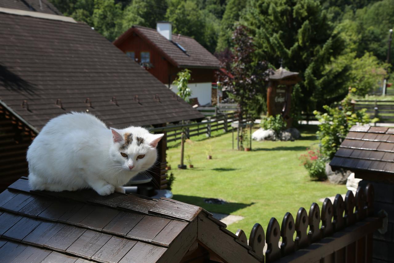 Appartments Am Esslgut *